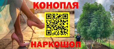 прущая мука Лесосибирск