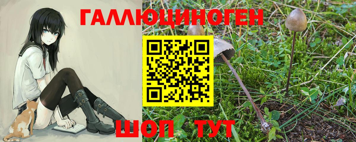 Галлюциногенные грибы GOLDEN TEACHER Энгельс
