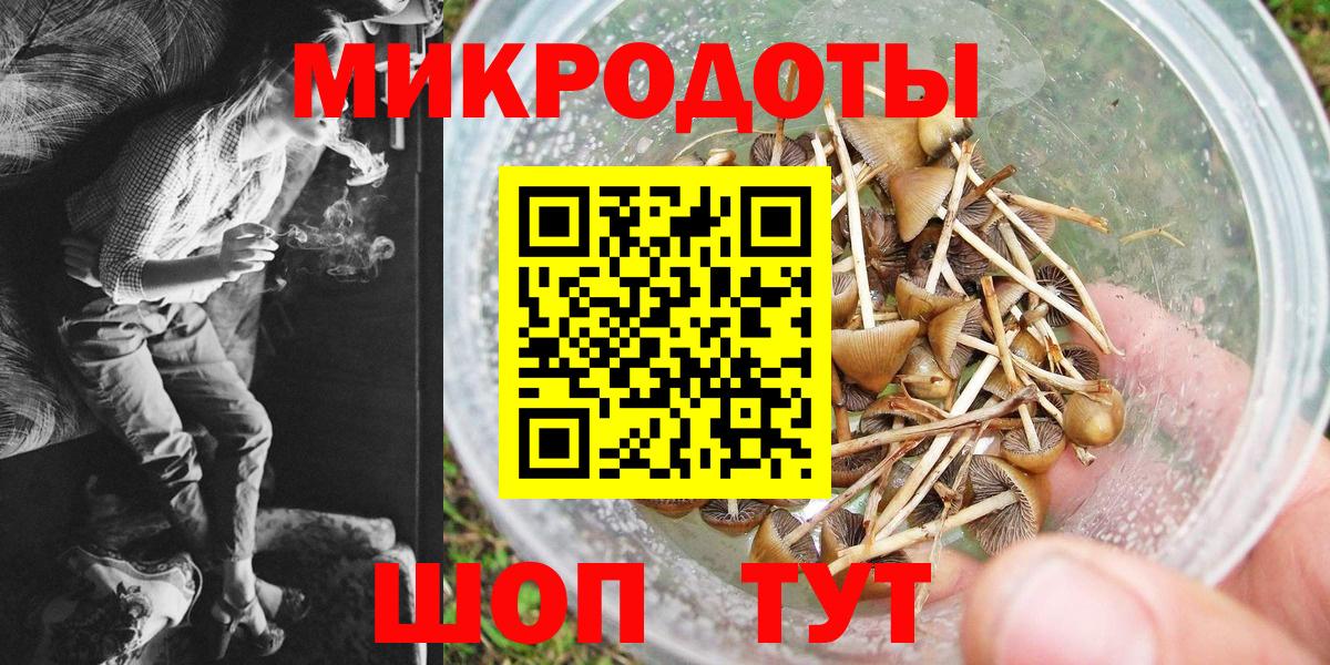 Энгельс  Галлюциногенные грибы Psilocybe  Вход с VPN 